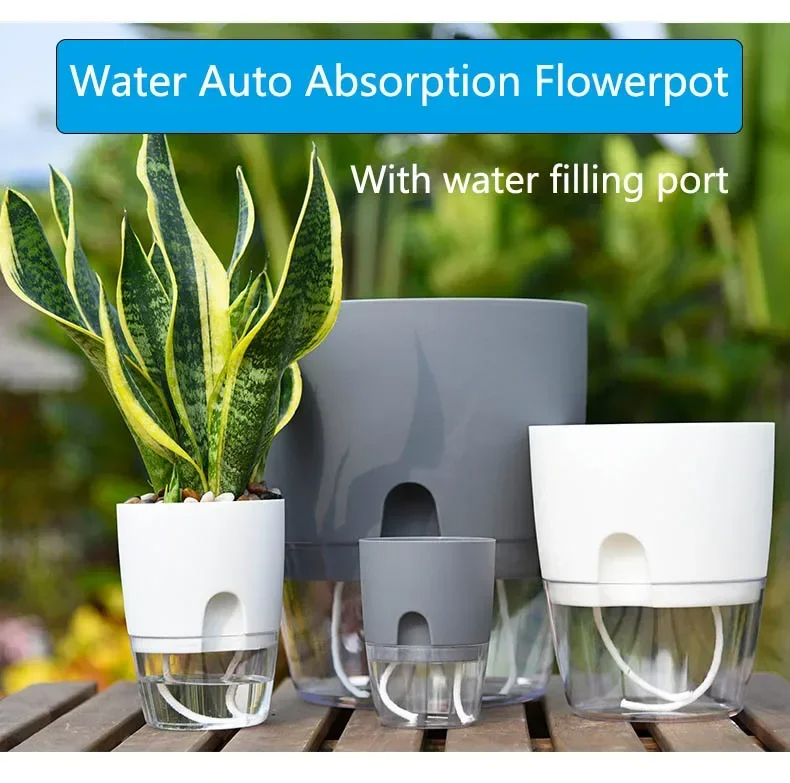 Aloe Vera Pot - Pot de fleurs transparent à double