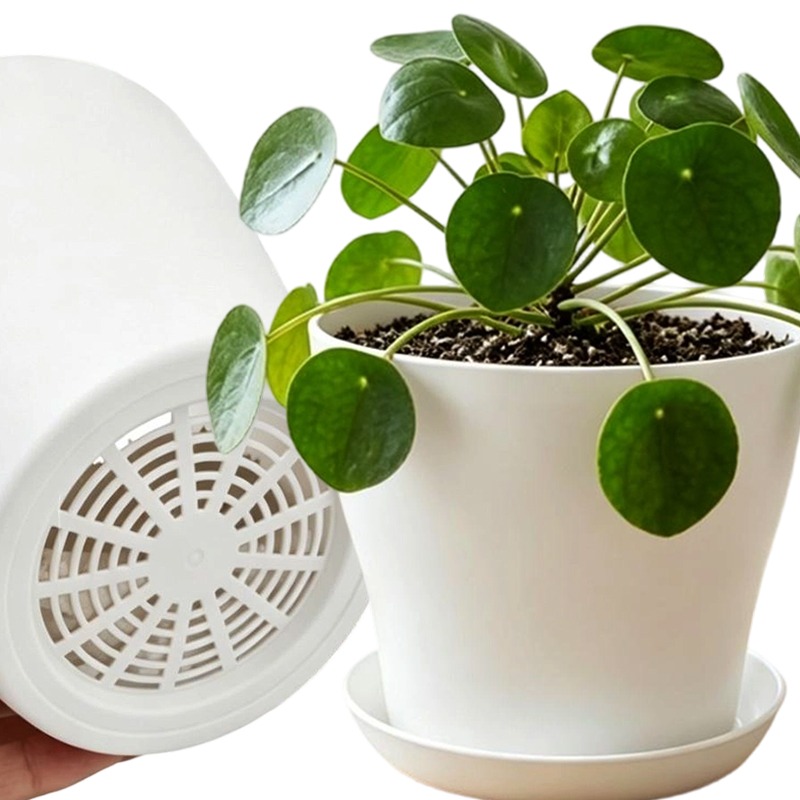 Aloe Vera Pot - Ensemble de pots de plantes avec
