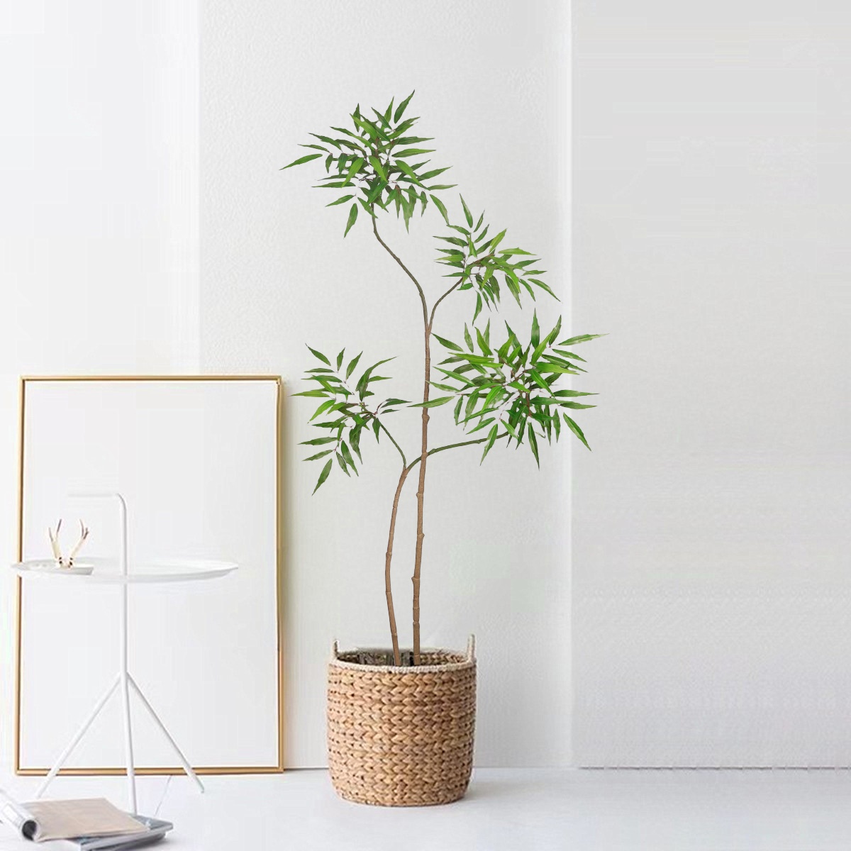 Fausses Plantes de Banyan Arti - Dracaena Marginata avis et prix