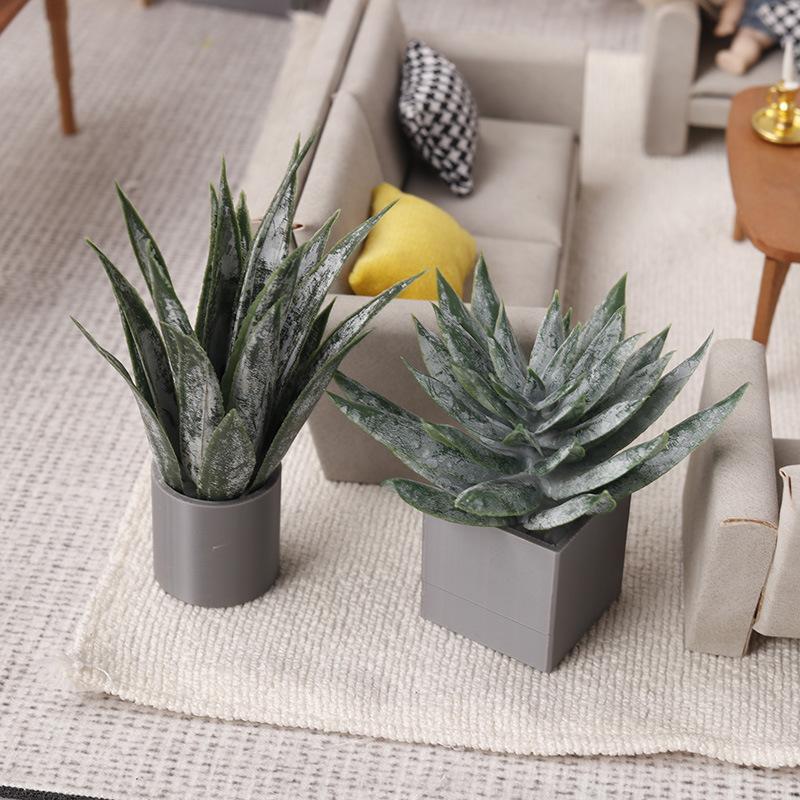 Miniature Plante d'Aloe Vera e - Aloe Vera Pot avis et prix