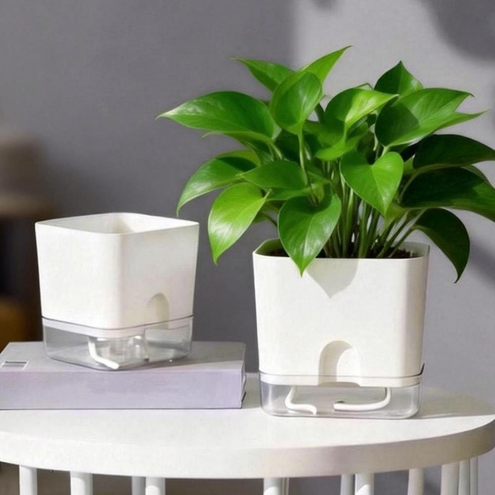 Pots de fleurs à arrosage auto - Aloe Vera Pot avis et prix