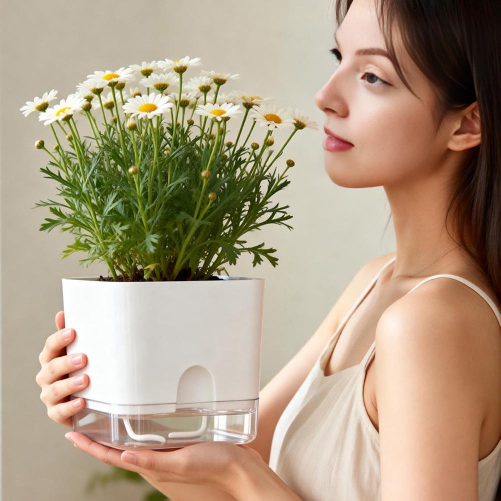 Pots de fleurs à arrosage auto - Aloe Vera Pot avis et prix