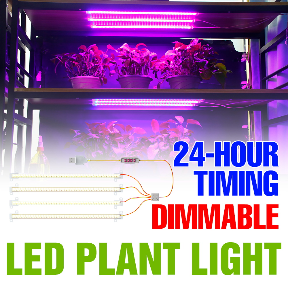 Barre lumineuse LED d'intérieu - Echeveria Succulent avis et prix