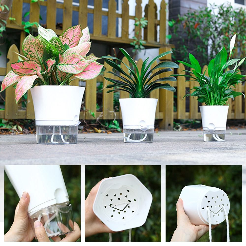 Pot de fleur en plastique tran - Aloe Vera Pot avis et prix