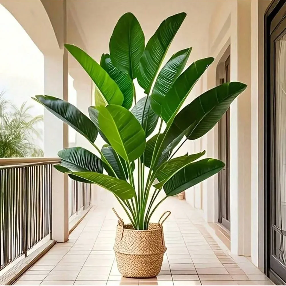 1pc 18 feuilles plantes artifi - Dracaena Marginata avis et prix
