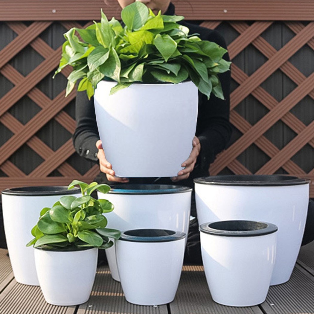 Pot de fleurs d'arrosage autom - Aloe Vera Pot avis et prix
