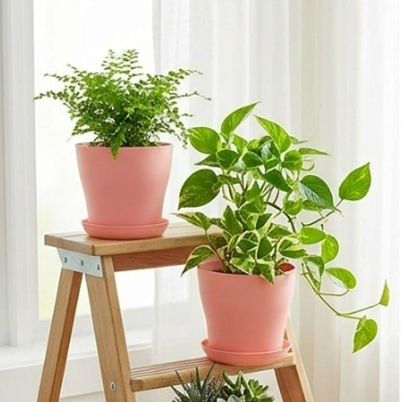 Ensemble de pots de plantes av - Aloe Vera Pot avis et prix